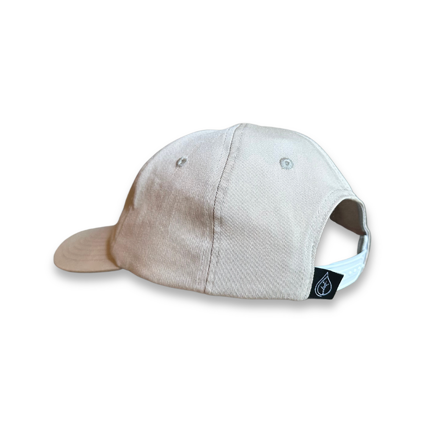 paper birch snapback