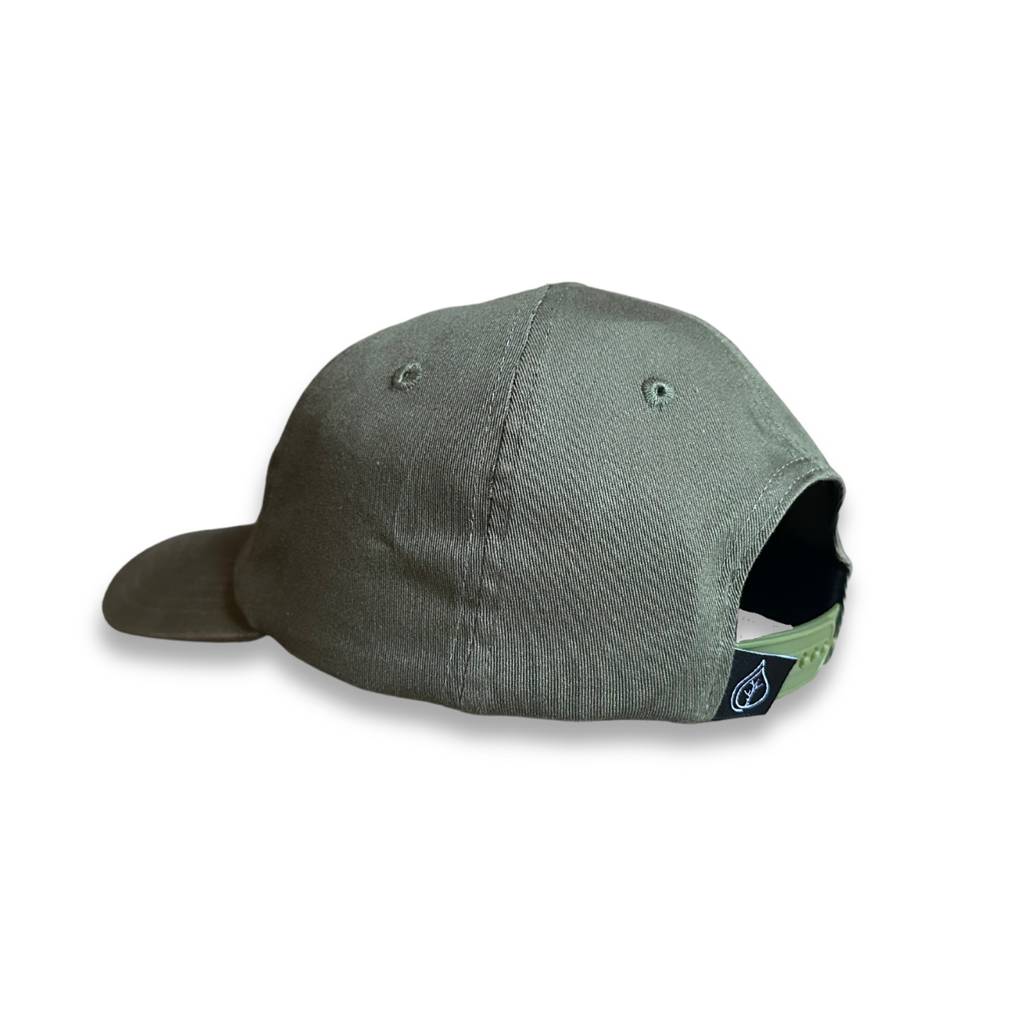 paper birch snapback