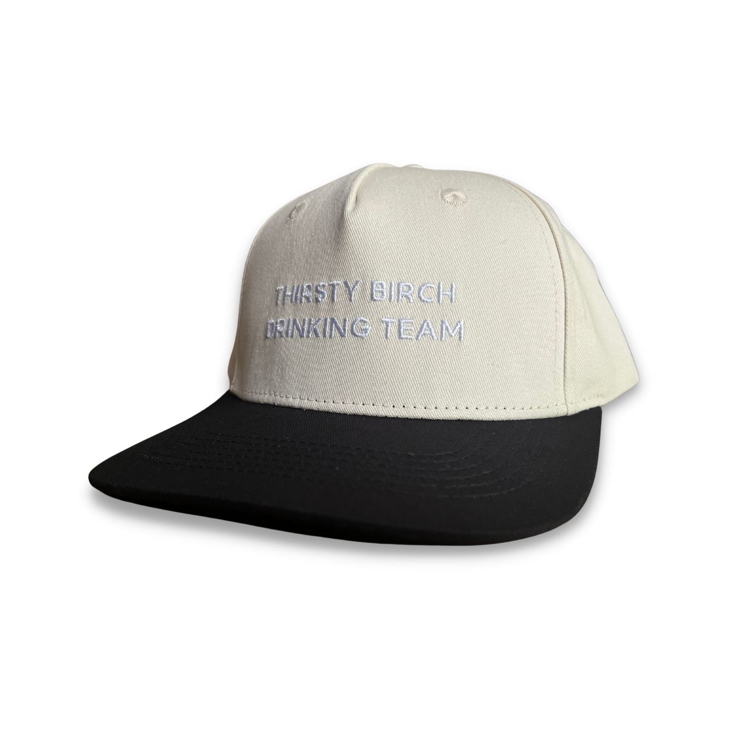 drinking team snapback