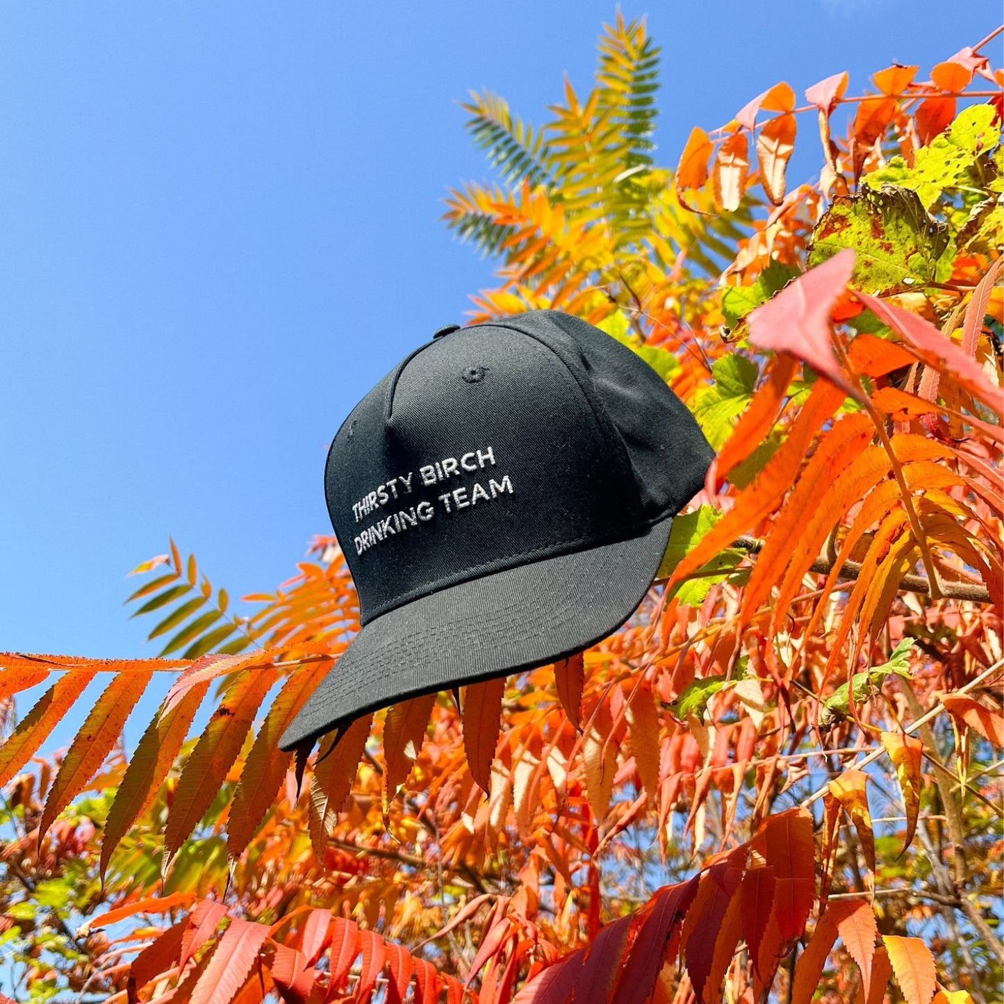 drinking team snapback